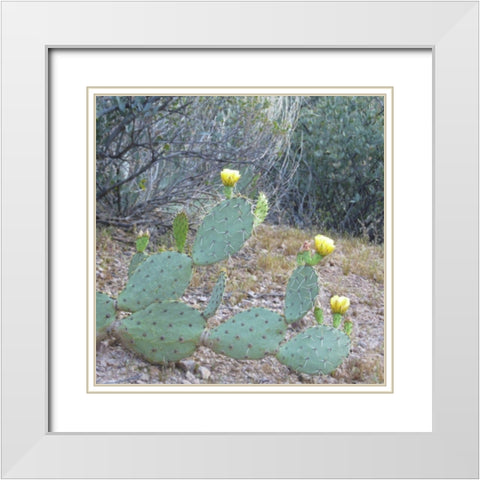 Wildflowers XX White Modern Wood Framed Art Print with Double Matting by Popcorn
