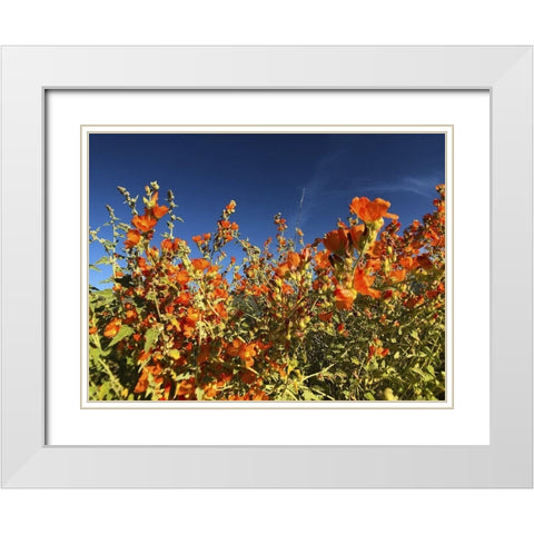 Wildflowers XXII White Modern Wood Framed Art Print with Double Matting by Popcorn