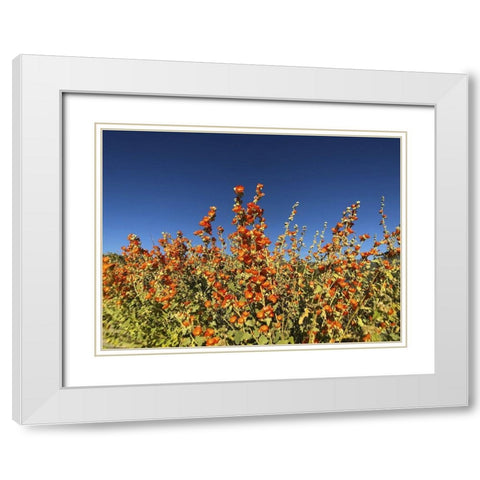 Wildflowers XXIII White Modern Wood Framed Art Print with Double Matting by Popcorn