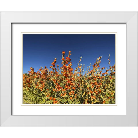 Wildflowers XXIII White Modern Wood Framed Art Print with Double Matting by Popcorn