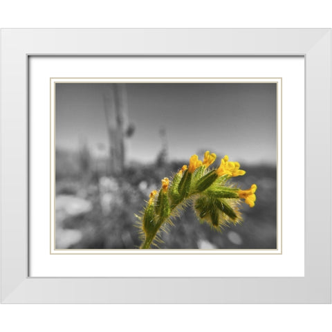 Wildflowers XXVI White Modern Wood Framed Art Print with Double Matting by Popcorn