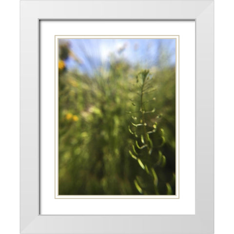 Wildflowers Macro IV White Modern Wood Framed Art Print with Double Matting by Popcorn