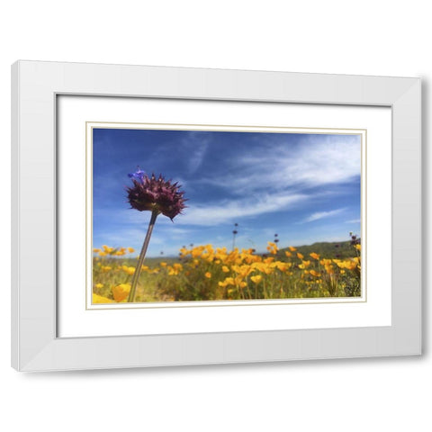 Wildflowers XXXIII White Modern Wood Framed Art Print with Double Matting by Popcorn