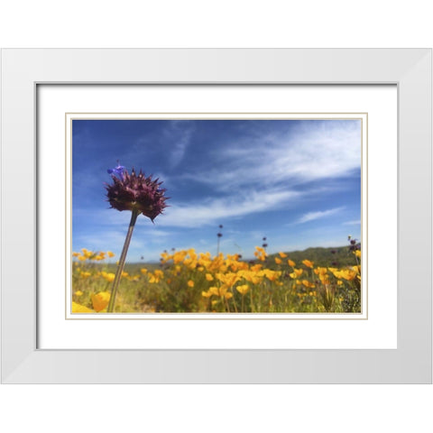 Wildflowers XXXIII White Modern Wood Framed Art Print with Double Matting by Popcorn