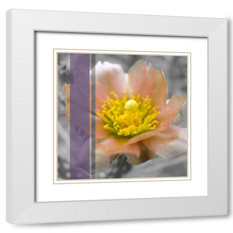 Cactus Flower BandW I A White Modern Wood Framed Art Print with Double Matting by Popcorn