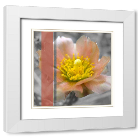 Cactus Flower BandW I B White Modern Wood Framed Art Print with Double Matting by Popcorn
