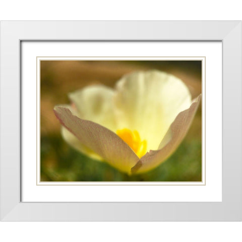 Wildflowers Nostalgia IV White Modern Wood Framed Art Print with Double Matting by Popcorn