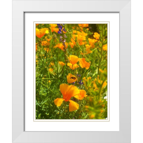 Wildflowers XLIV White Modern Wood Framed Art Print with Double Matting by Popcorn
