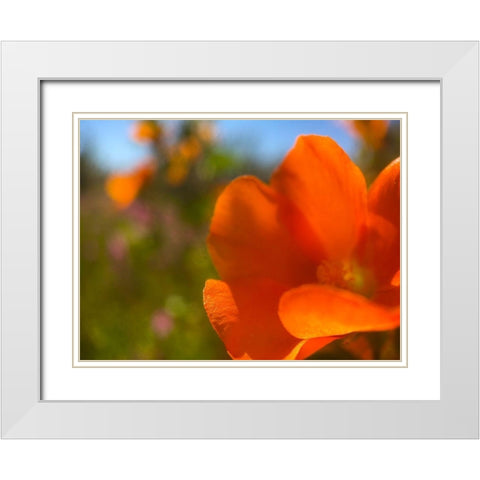 Wildflowers XLV White Modern Wood Framed Art Print with Double Matting by Popcorn