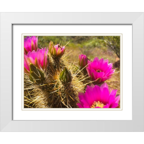 Wildflowers XLVIX White Modern Wood Framed Art Print with Double Matting by Popcorn