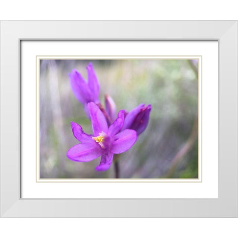 Wildflowers XLXI White Modern Wood Framed Art Print with Double Matting by Popcorn