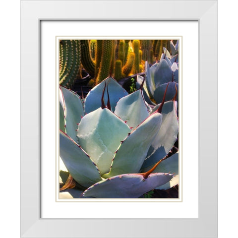 Mescal Agave C White Modern Wood Framed Art Print with Double Matting by Tenoever, William