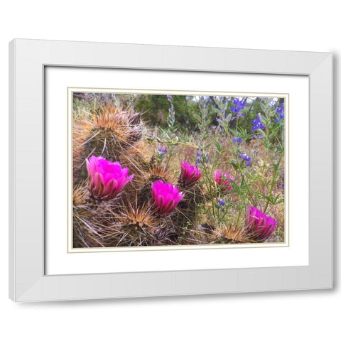 Hedgehog and Lupine White Modern Wood Framed Art Print with Double Matting by Tenoever, William