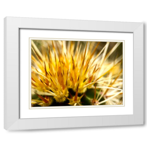 HedgehogCactus White Modern Wood Framed Art Print with Double Matting by Tenoever, William