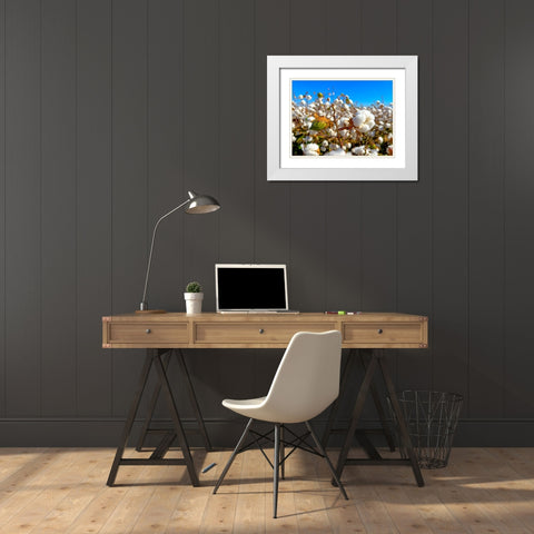 CottonFields3 White Modern Wood Framed Art Print with Double Matting by Tenoever, William