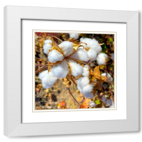 CottonFields4 White Modern Wood Framed Art Print with Double Matting by Tenoever, William