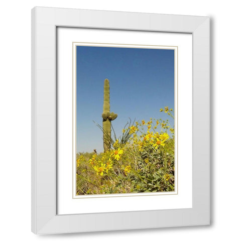Desert Scape 3 White Modern Wood Framed Art Print with Double Matting by Popcorn