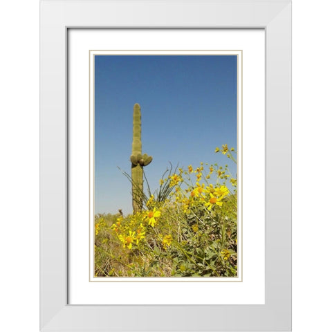 Desert Scape 3 White Modern Wood Framed Art Print with Double Matting by Popcorn