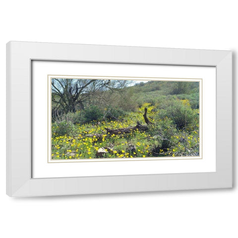 Desert Scape 4 White Modern Wood Framed Art Print with Double Matting by Popcorn