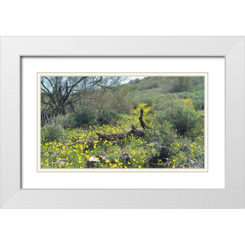Desert Scape 4 White Modern Wood Framed Art Print with Double Matting by Popcorn