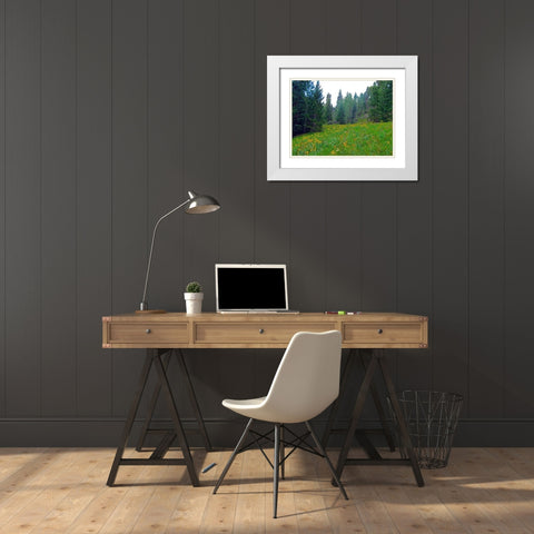 Wildflower IX White Modern Wood Framed Art Print with Double Matting by Popcorn