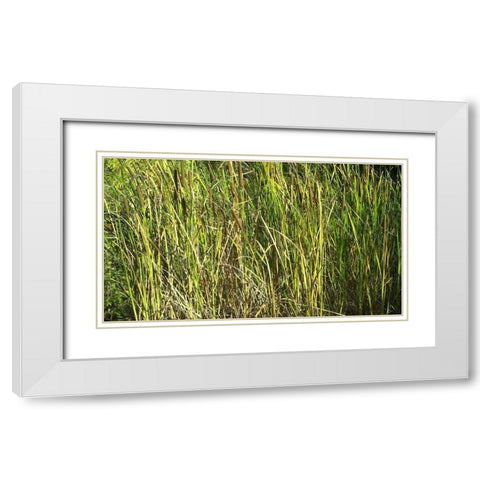 Roper Lake II: Grasses I White Modern Wood Framed Art Print with Double Matting by Popcorn