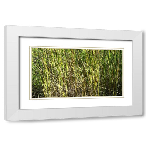 Roper Lake III: Grasses II White Modern Wood Framed Art Print with Double Matting by Popcorn