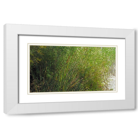 Roper Lake IV: Grasses III White Modern Wood Framed Art Print with Double Matting by Popcorn