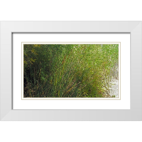 Roper Lake IV: Grasses III White Modern Wood Framed Art Print with Double Matting by Popcorn
