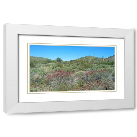 Desert Scape 5: Penstemon White Modern Wood Framed Art Print with Double Matting by Popcorn