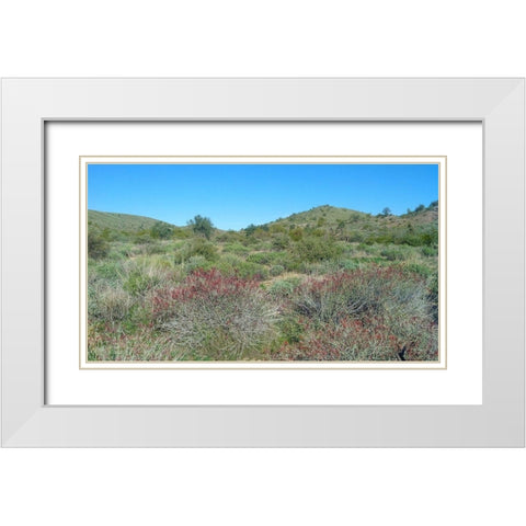 Desert Scape 5: Penstemon White Modern Wood Framed Art Print with Double Matting by Popcorn