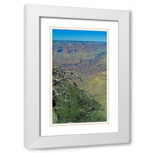 Perspective Image