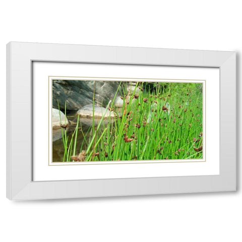 Agua Fria National Monument White Modern Wood Framed Art Print with Double Matting by Popcorn