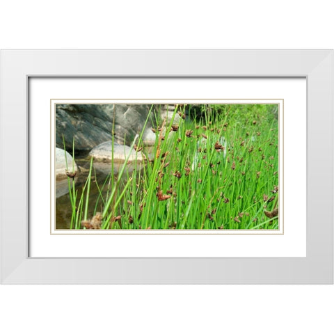 Agua Fria National Monument White Modern Wood Framed Art Print with Double Matting by Popcorn