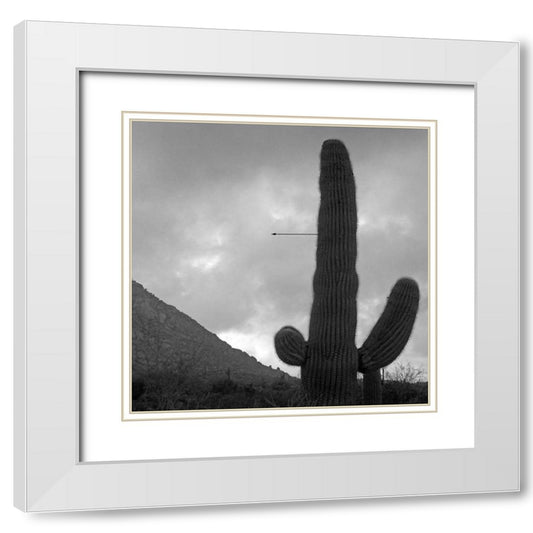 Perspective Image
