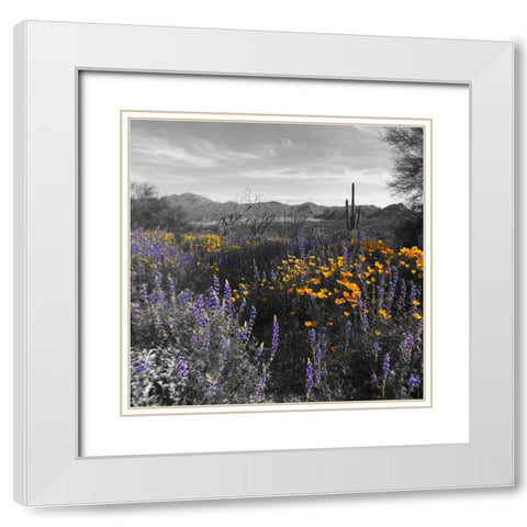 Wildflowers BandW VII White Modern Wood Framed Art Print with Double Matting by Popcorn
