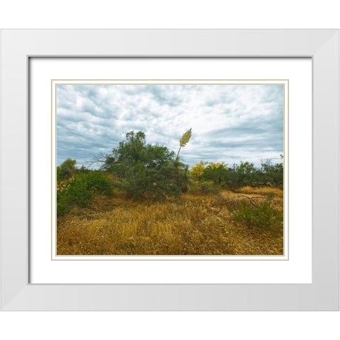 Desert Scape 6 White Modern Wood Framed Art Print with Double Matting by Popcorn