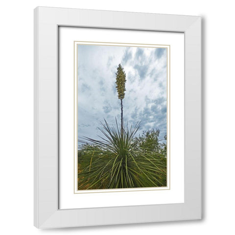 Desert Scape 8 White Modern Wood Framed Art Print with Double Matting by Popcorn