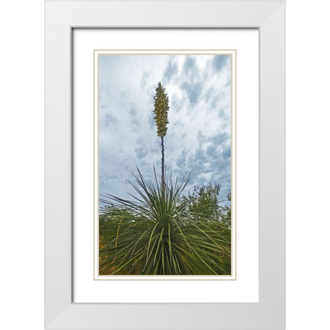 Desert Scape 8 White Modern Wood Framed Art Print with Double Matting by Popcorn