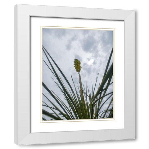 Desert Scape 9 White Modern Wood Framed Art Print with Double Matting by Popcorn