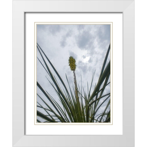Desert Scape 9 White Modern Wood Framed Art Print with Double Matting by Popcorn