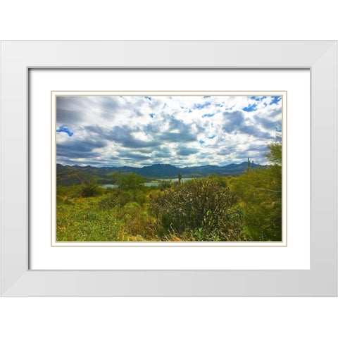 Bartlett Lake A White Modern Wood Framed Art Print with Double Matting by Popcorn