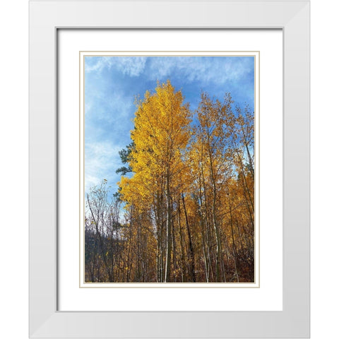Greer in Fall 1 White Modern Wood Framed Art Print with Double Matting by Tenoever, William