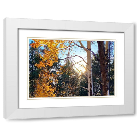 Greer in Fall 3 White Modern Wood Framed Art Print with Double Matting by Tenoever, William