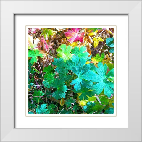 Greer in Fall 17 White Modern Wood Framed Art Print with Double Matting by Tenoever, William