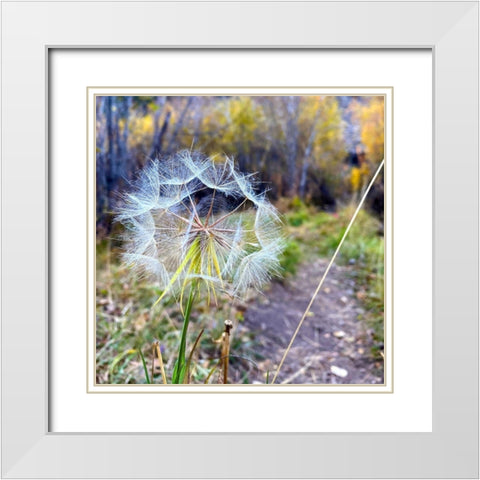 Greer in Fall 18 White Modern Wood Framed Art Print with Double Matting by Tenoever, William