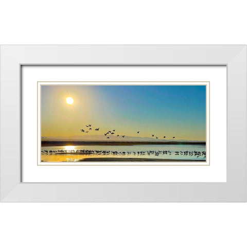 Wilcox-Sandhill Cranes 2 White Modern Wood Framed Art Print with Double Matting by Tenoever, William
