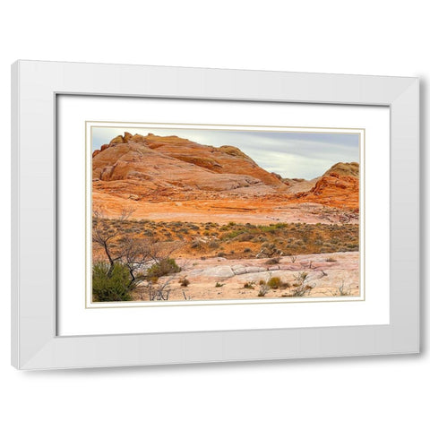 ValleyOfFire:BigHornSheep1 White Modern Wood Framed Art Print with Double Matting by Tenoever, William