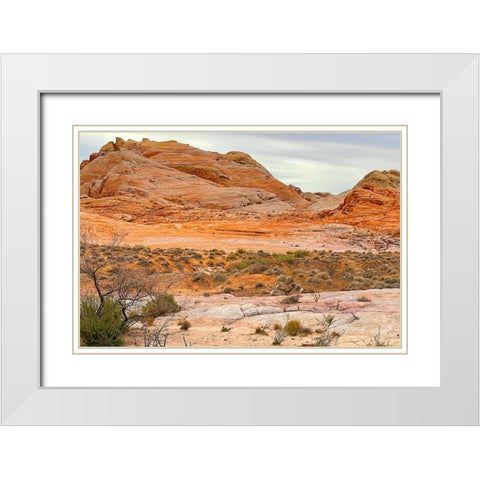 ValleyOfFire:BigHornSheep1 White Modern Wood Framed Art Print with Double Matting by Tenoever, William
