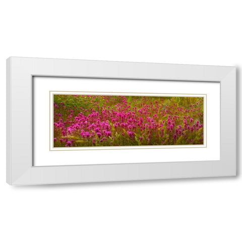 OwlClover White Modern Wood Framed Art Print with Double Matting by Tenoever, William